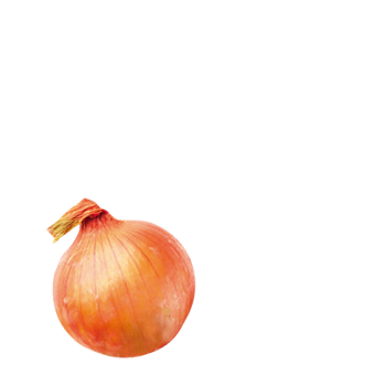 Schmuckgrafik 1