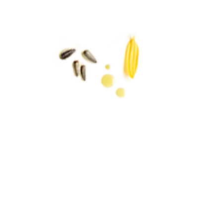 Schmuckgrafik 1