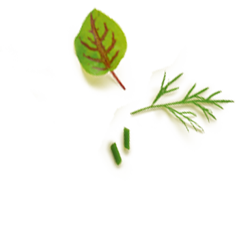 Schmuckgrafik 1