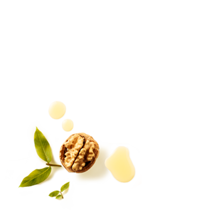 Schmuckgrafik 1