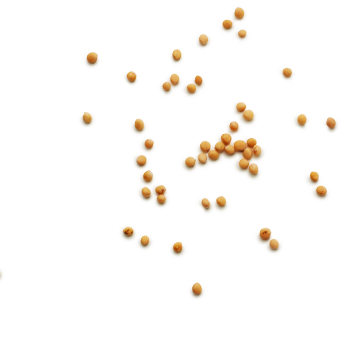Schmuckgrafik 1