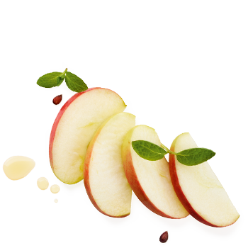 Schmuckgrafik 1