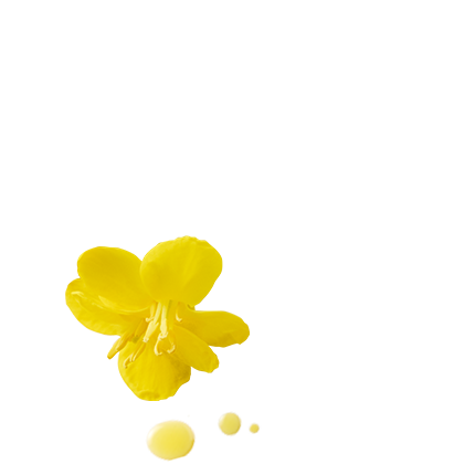 Schmuckgrafik 1