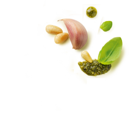 Schmuckgrafik 1