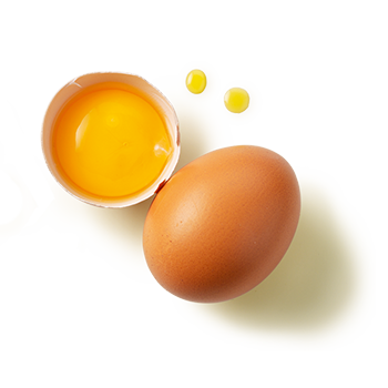 Delikatess Mayonnaise Ei
