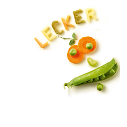Schmuckgrafik 1