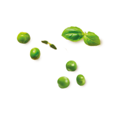 Schmuckgrafik 1