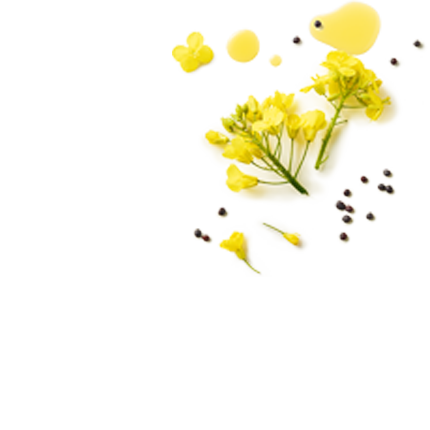Schmuckgrafik 1