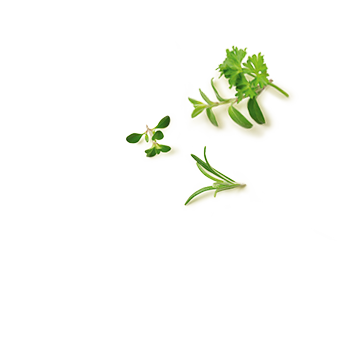 Kraeuter Remoulade Kraeuter