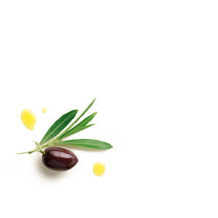 Schmuckgrafik 1