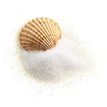 Premium Meersalz mit Muschel