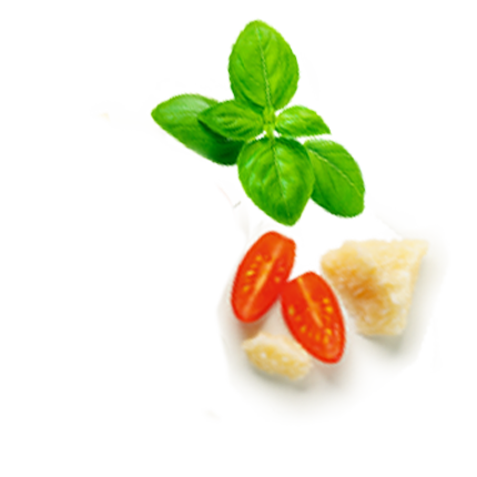 Schmuckgrafik 1