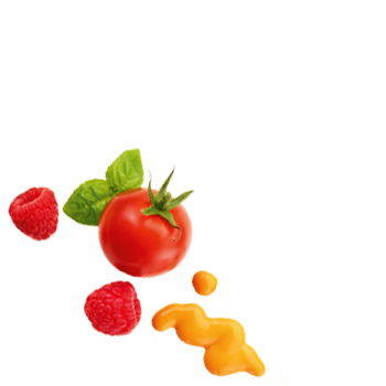Schmuckgrafik 1