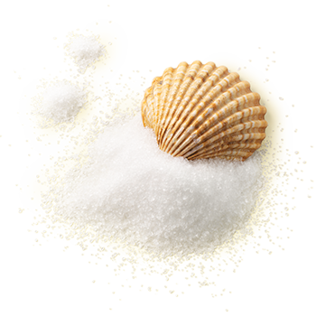 Muschel Bio-Meersalz