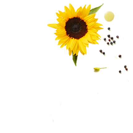 Schmuckgrafik 1