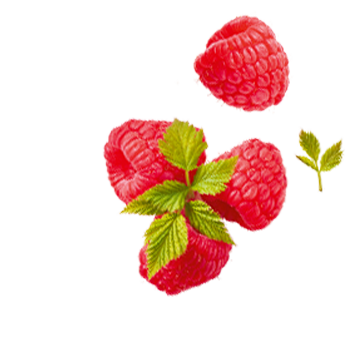Schmuckgrafik 1
