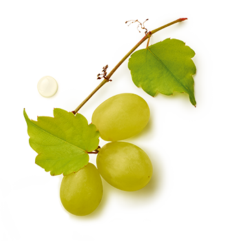 Condimento Bianco Trauben