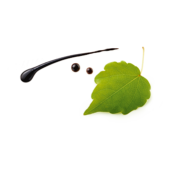 Aceto Balsamico di Modena Weinblatt