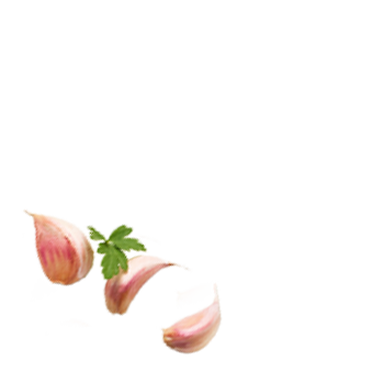 Schmuckgrafik 1