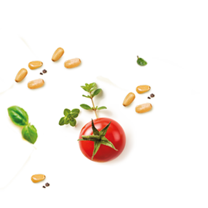 Schmuckgrafik 1